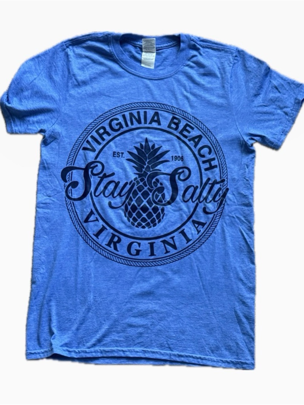 Gildan Blue Virginia Beach "Stay Salty" Pineapple Tee